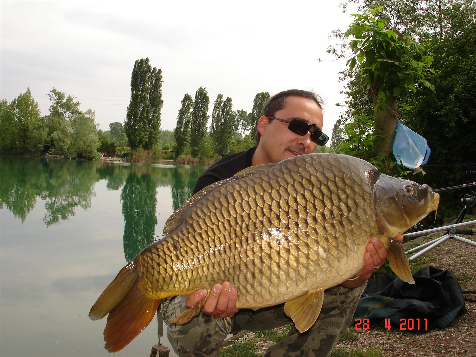 THE BIGS OF 2011 - p1000090.JPG